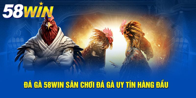 Đá gà hấp dẫn tại 58WIN