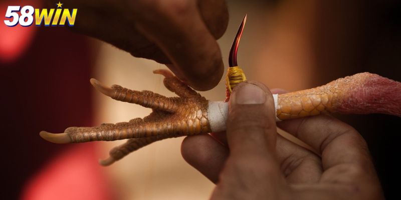 Hướng dẫn tham gia tựa game